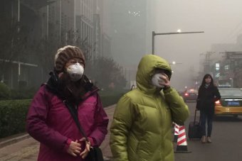 Population decline isn't happening fast enough to save planet