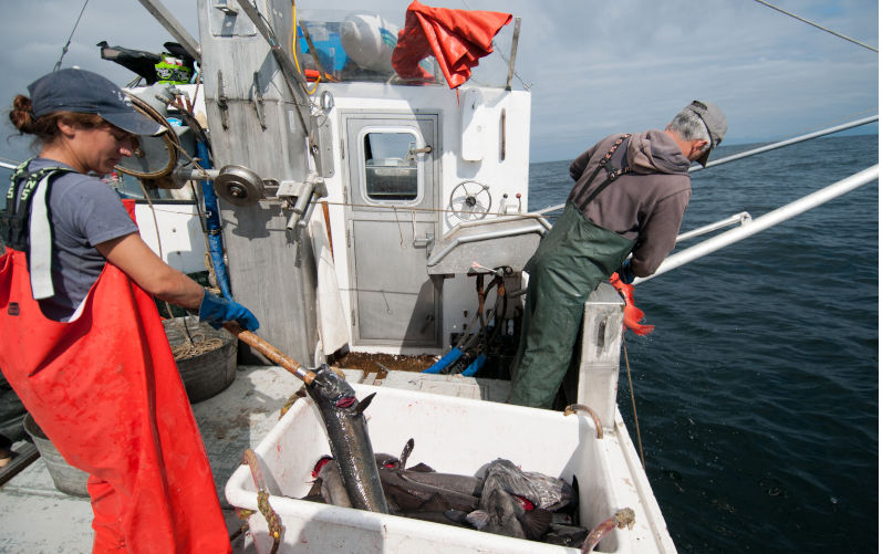 Black Cod (Sablefish) fishing, Sitka, Alaska.Image: Alamy. Contributor: Mark A. Johnson Image ID: CCF849 Environment: Decisive action needed to avoid unmanageable climate tipping points
