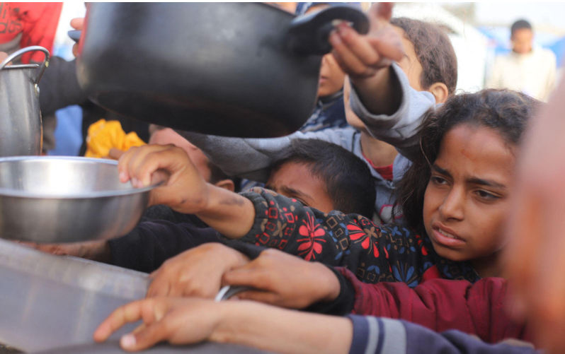 Selective humanity: Gaza’s donkeys or its children?