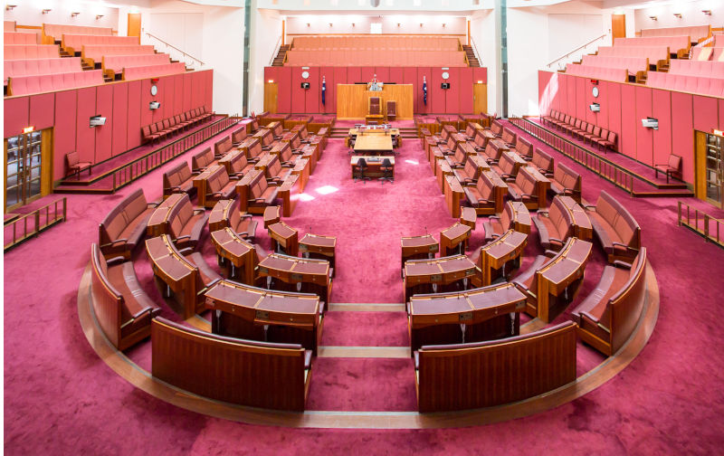 Could the Teals win Senate seats in an expanded parliament?