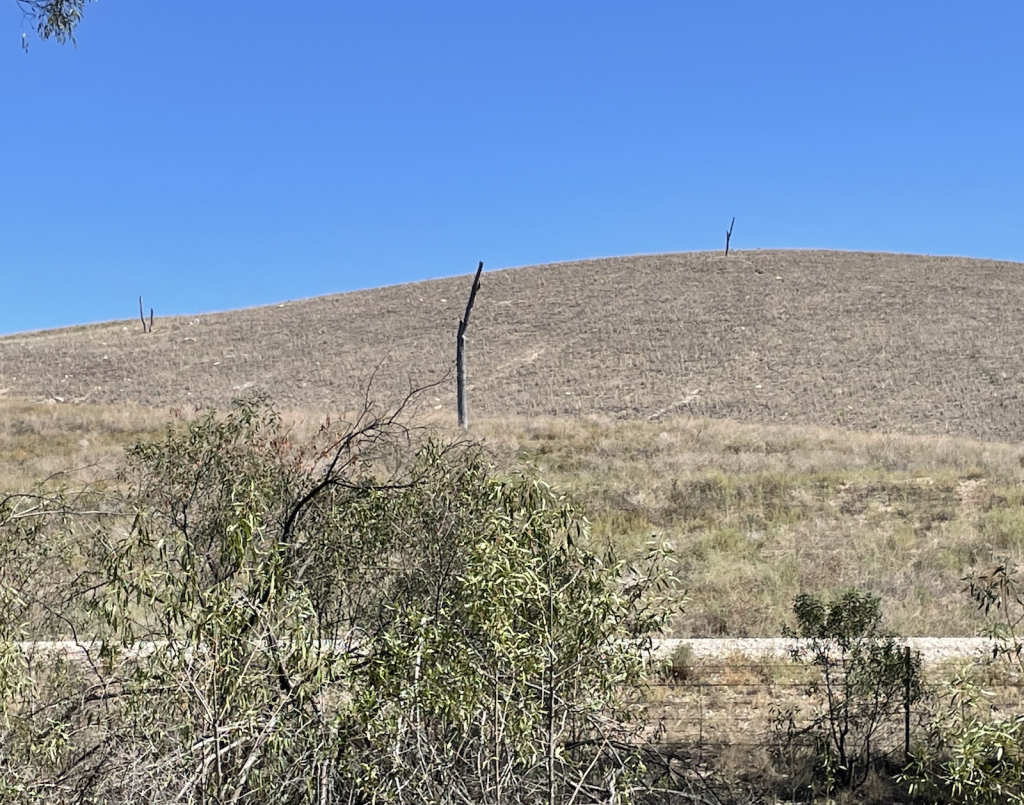 Habitat trees