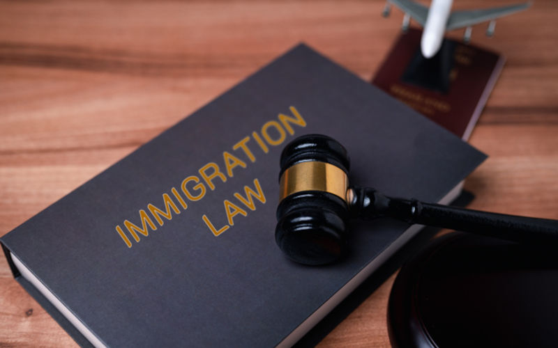 Sledgehammer immigration removal legislation