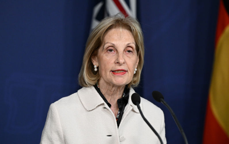 Special Envoy to Combat Antisemitism Jillian Segal speaks to media during a press conference with Prime Minister Anthony Albanese at the Commonwealth Parliamentary Offices in Sydney, Thursday, July 10, 2025. AAP /Dan Himbrechts An ambitious plan to combat antisemitism or an effective plan to silence Israel's critics?