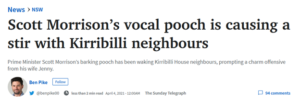 Morrisons vocal pooch