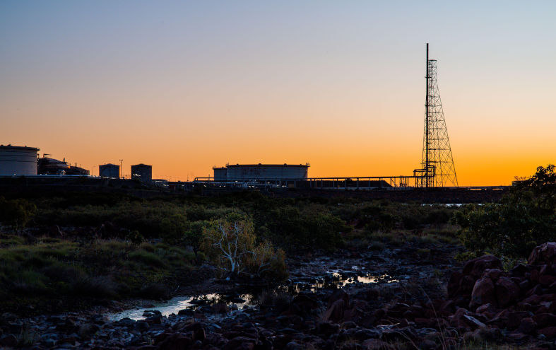 'Cakes of coal, volumes of gas': Australia accused of being climate wrecker as it seeks to host COP31