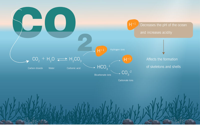 Ocean acidification process.chemical equation and consequences. Image: iStock / Maria Pilar Martinez Aguerri Environment: Ocean acidification has left the safe zone for humans