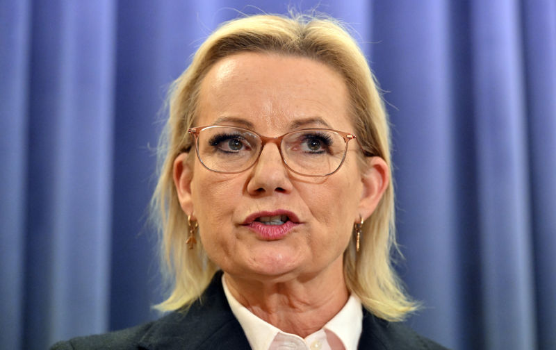 Sussan Ley and gender politics