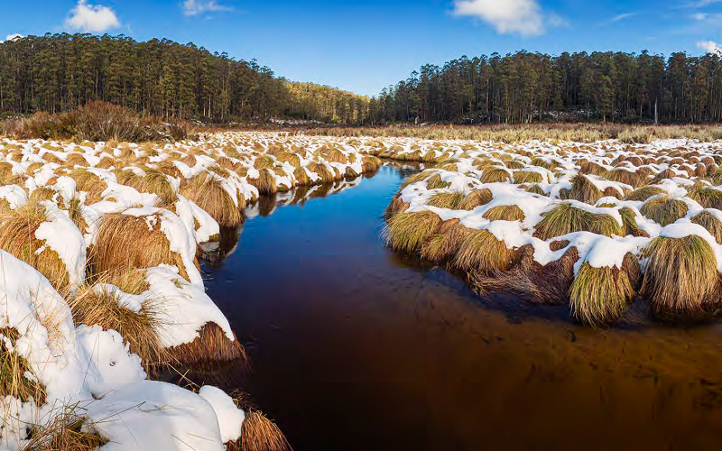 Mines over water: Melbourne’s largest and most important water supply catchment at risk