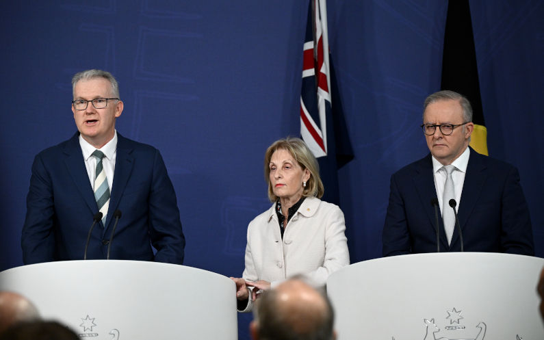 Prime Minister Anthony Albanese (right) Special Envoy to Combat Antisemitism Jillian Segal and Federal Minister for Home Affairs Tony Burke speak to media during a press conference at the Commonwealth Parliamentary Offices in Sydney, Thursday, July 10, 2025. Image: AAP/Dan Himbrechts Antisemitism Plan sparks fierce debate over free speech, racism, and political agendas