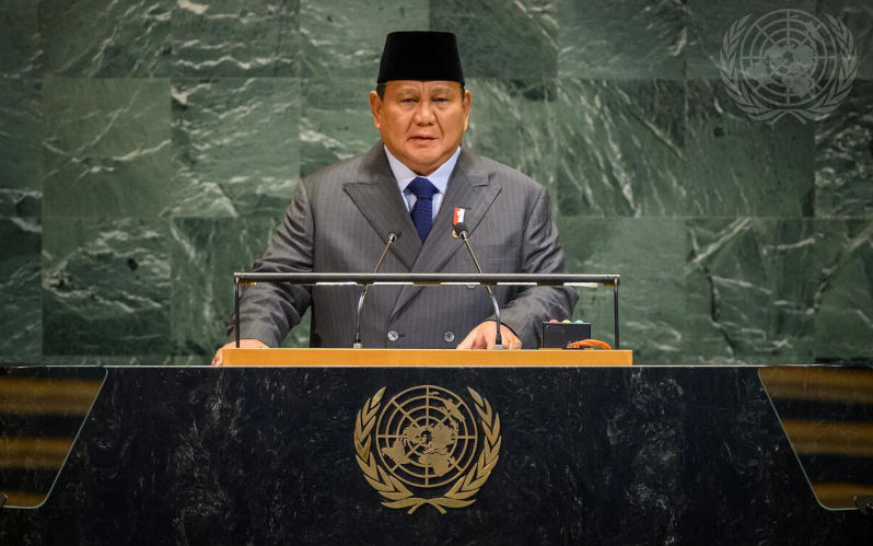 Indonesia’s Gaza peacekeeping bid raises more questions than answers