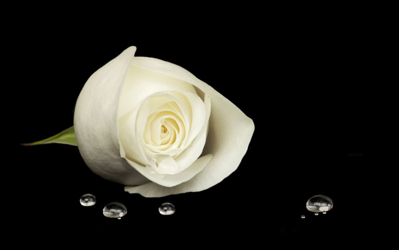 Mickey J: an Australian always, quietly, making a big difference