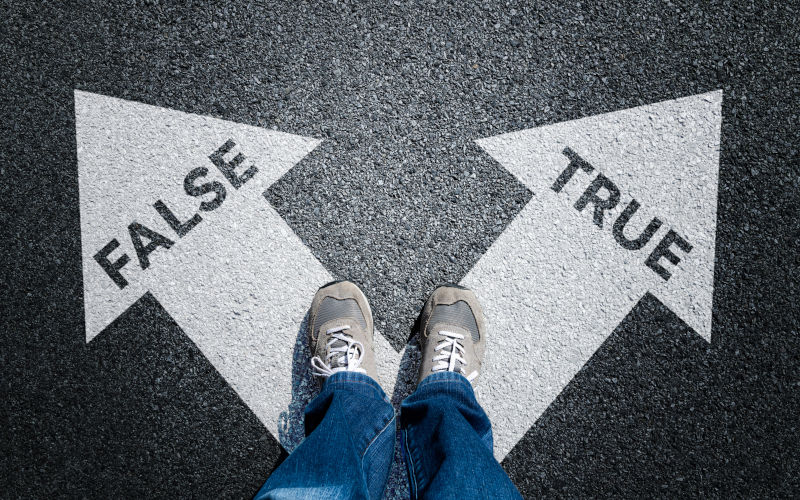 The Age of Lies and the threat to civilisation