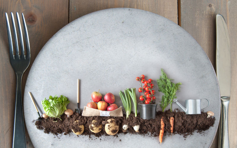 Fruits and vegetables garden on a kitchen plate. Image:iStock/CharlieAJA Why the world needs renewable food
