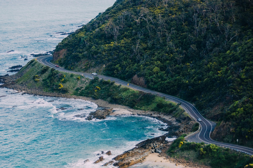 Local residents fight for critical birdlife habitat on the Great Ocean Road
