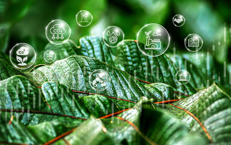 Green business growth. Image: iStock / Worawith Ounpeng A carbon tax and some key policy challenges