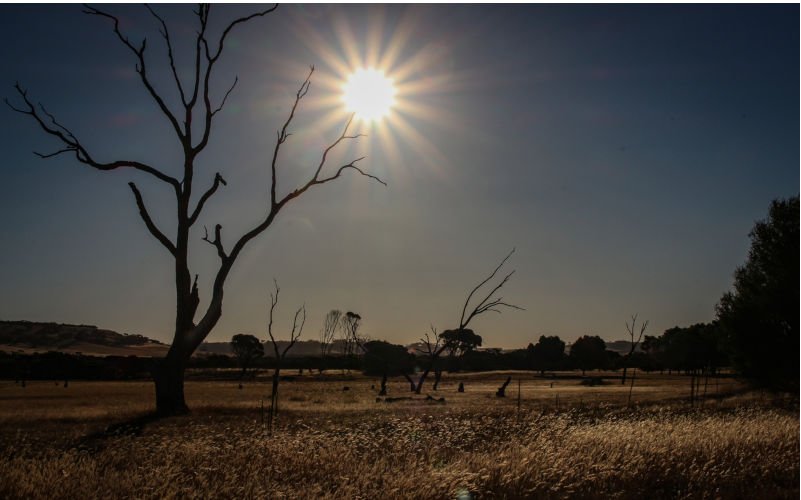 Australia issues ‘terrifying’ climate warning