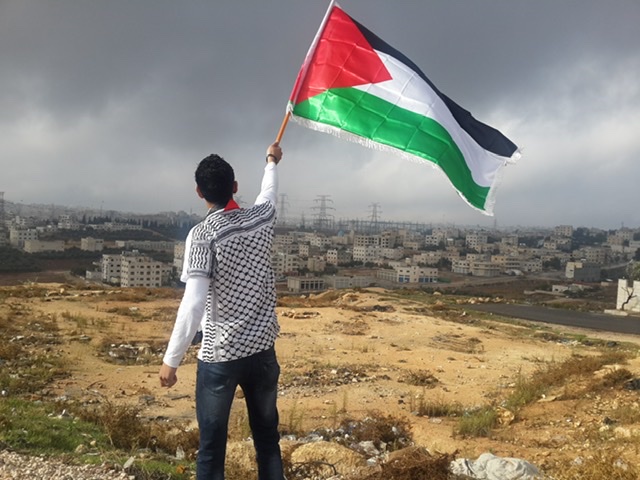 Palestine flag feature