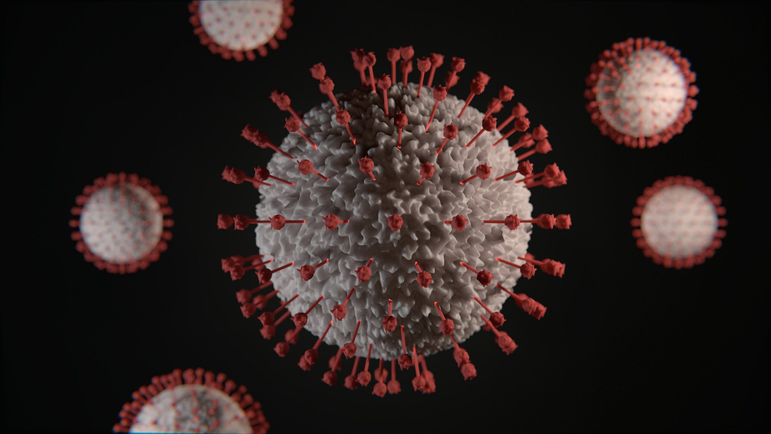 Corona virus Corona virus