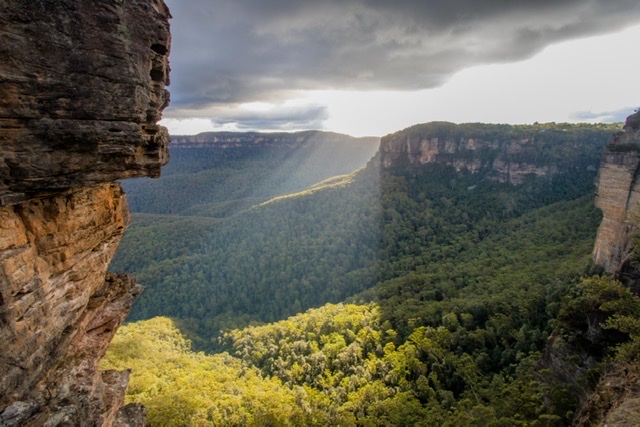 Australia bush