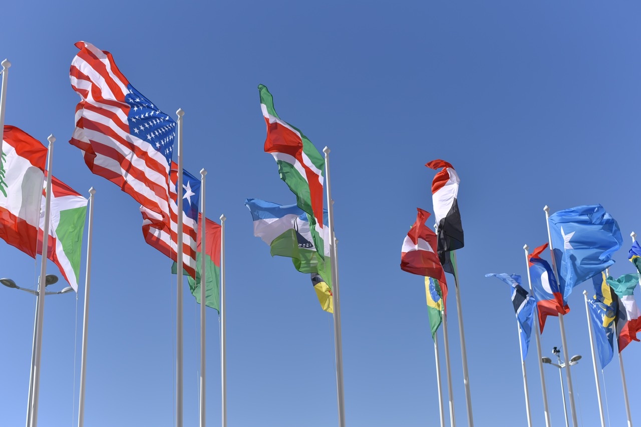 Flags feature