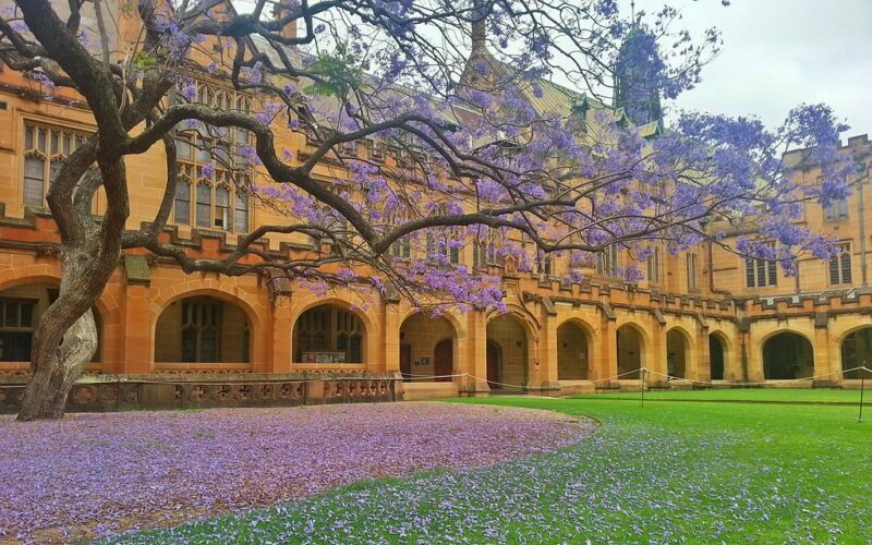 university of sydney quadrangle