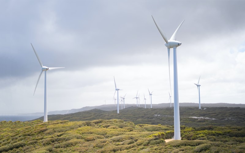 wind farm