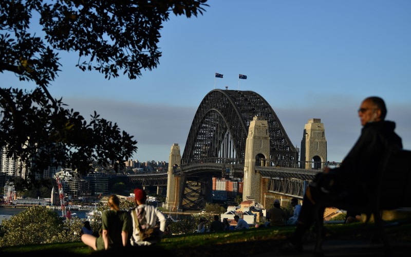 Picnic Sydney Harbour Bridge park