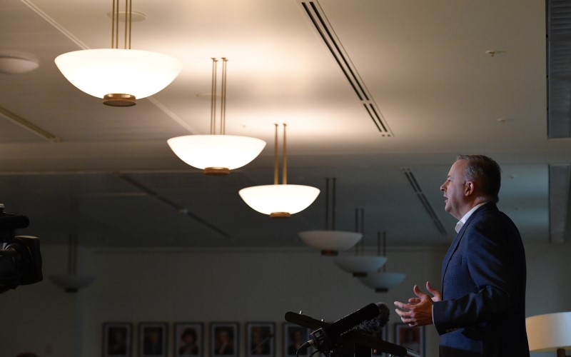 Labor leader Anthony Albanese