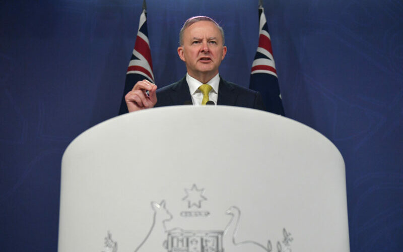 Labor leader Anthony Albanese