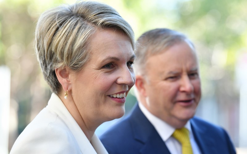 Tanya Plibersek and Anthony Albanese