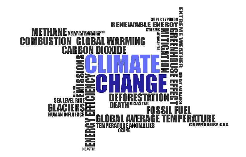 Climate change words