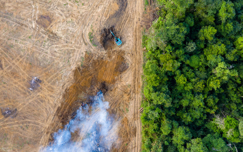 Aerial view of tropical deforestation Aerial view of tropical deforestation