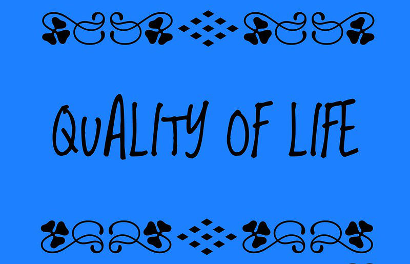 Quality of life is the general well-being of individuals and societies text