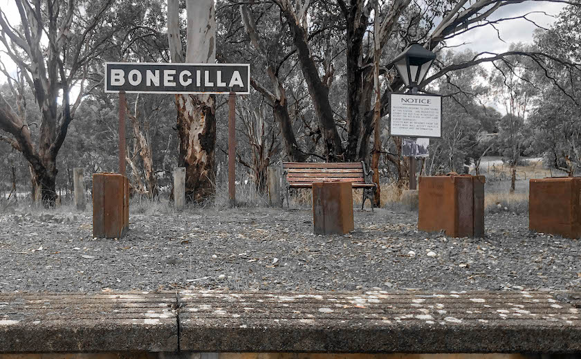 Bonegilla