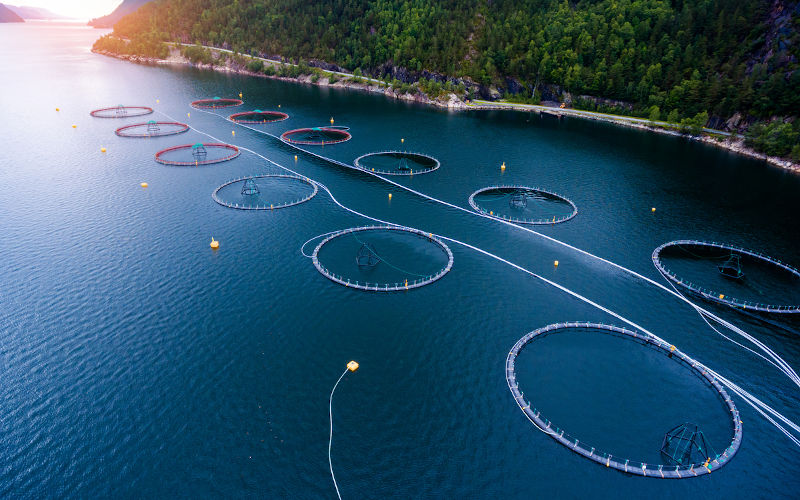 Aquaculture, salmon farming, Norway