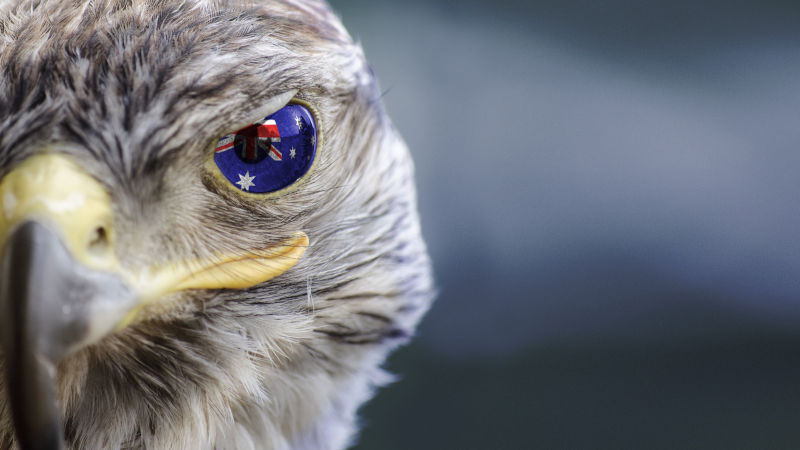 Australia flag on Eagle eye with dispalce and mask