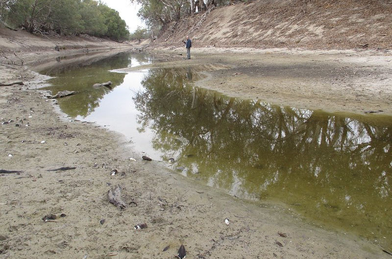 Looking upstream in the dried out bottom of the Darling RIver, the whole system in dying!