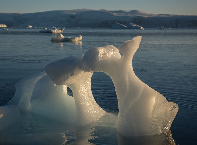 Icebergs floating on the east coast of Greenland in summer.