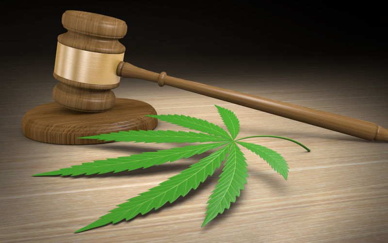 Legislation concept of a wooden court gavel beside a green cannabis leaf.