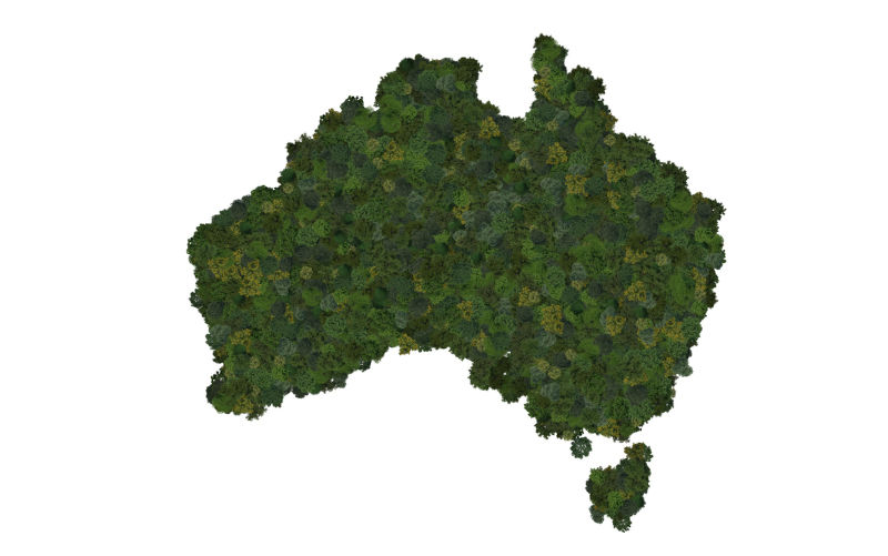 Top view of a forest of trees forming the map of Australia. Top view. Environmental , Ecology, and sustainability concepts.