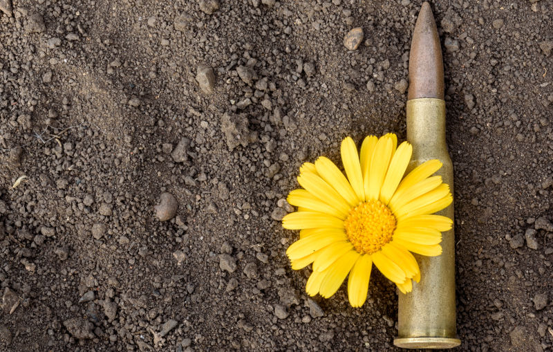 Bullet and ammunition shell with a yellow flower of peace resting on a dusty dirty background. Copy space area for design text.