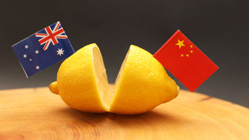 Australian and Chinese flags stuck in a sliced lemon on a chopping block representing the strained sour and bitter feud over international relations and trade agreements.