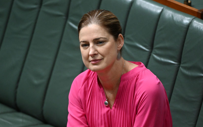 Minister for Small Business Julie Collins introduces the Treasury Laws Amendment (Housing Measures No. 1) Bill 2023 in the House of Representatives at Parliament House in Canberra, Thursday, February 16, 2023. Image: AAP/Mick Tsikas