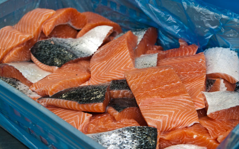 The detail of a fish salmon factory, processing line. Fish and food industry abstract.