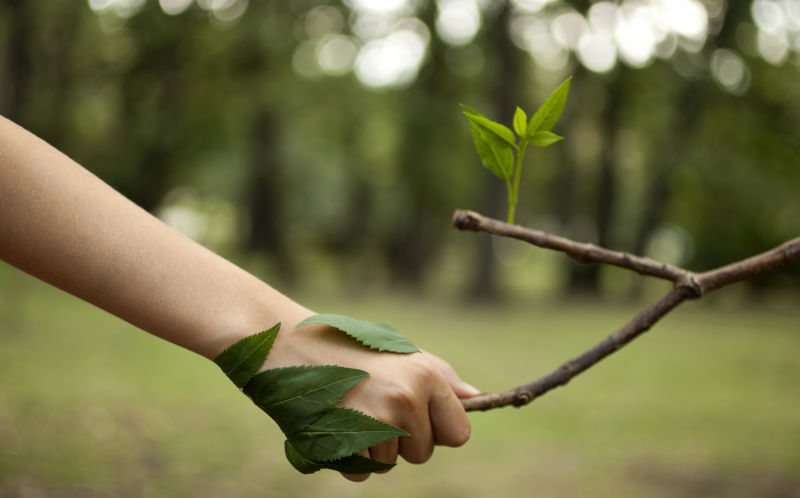 Environment concept. Handshake between human hand and tree.