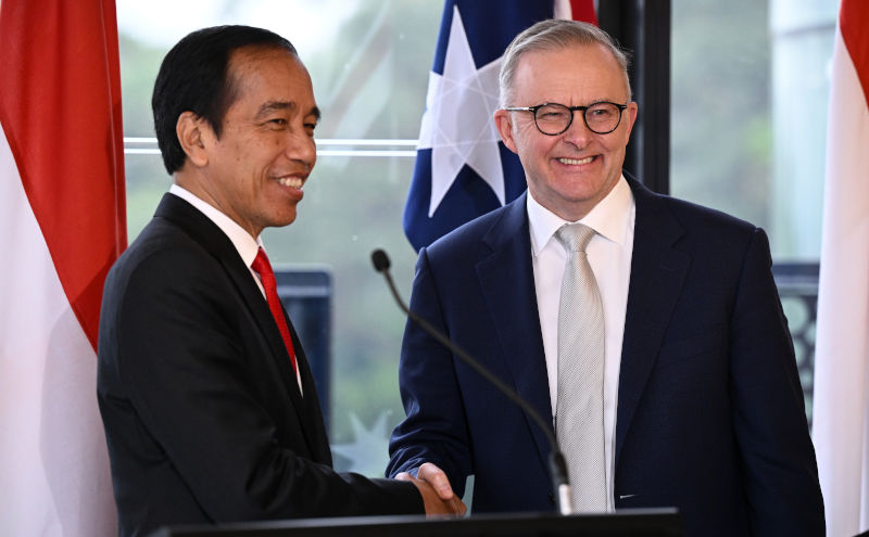 Presiden Indonesia Joko Widodo dan Perdana Menteri Australia Anthony Albanese membuat pernyataan bersama dalam pertemuan pemimpin tahunan di Kebun Binatang Taronga di Sydney, Selasa, 4 Juli 2023. Gambar: AAP/Dan Himbrechts