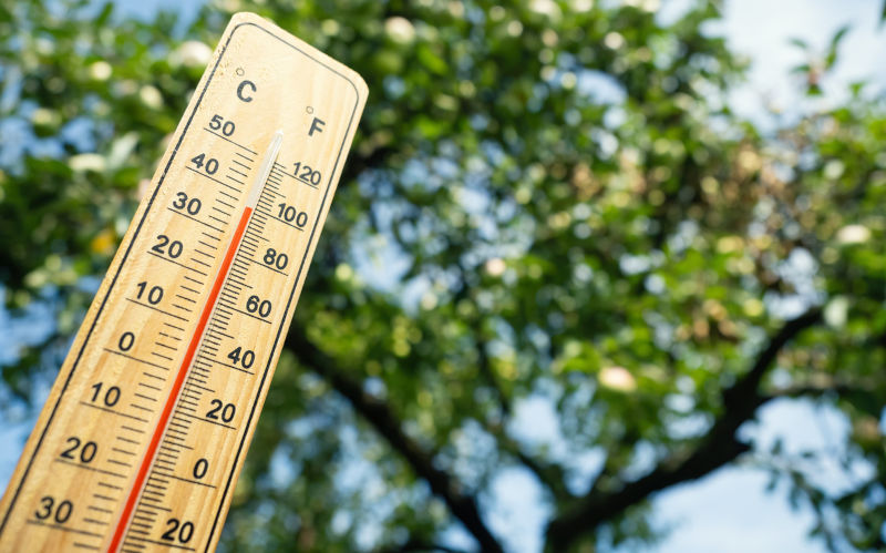 Wooden thermometer showing high temperature on sunny day.