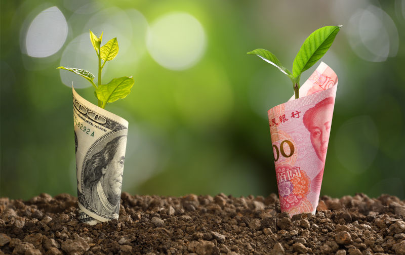 Image of China Yuan banknote and US dollar banknote with plant growing on top for business, saving, growth, economic concept.