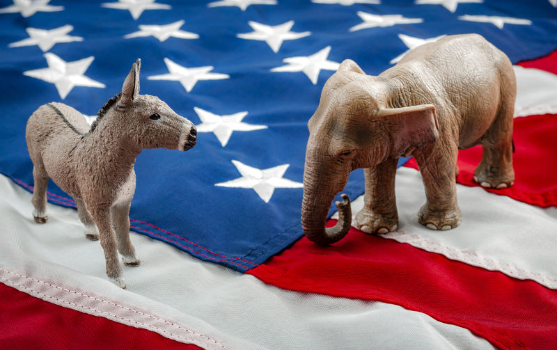 American politics US parties are represented by either the democrat donkey or republican elephant.