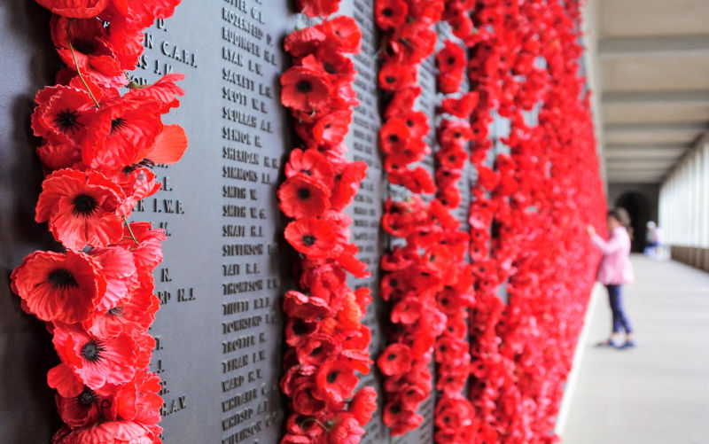 Red poppies at Australian War Memorial.